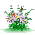 flowers-animated.gif
